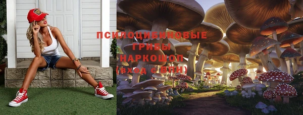 ГАЛЛЮЦИНОГЕННЫЕ ГРИБЫ Аркадак