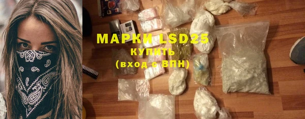ГАЛЛЮЦИНОГЕННЫЕ ГРИБЫ Аркадак