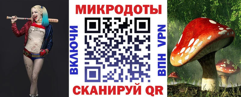 Псилоцибиновые грибы MAGIC MUSHROOMS  наркота  Беломорск 